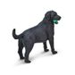 Safari Ltd Black Labrador