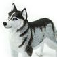 Safari Ltd Siberian Husky Best In Show