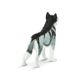 Safari Ltd Siberian Husky