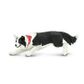 Safari Ltd Border Collie