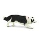 Safari Ltd Border Collie