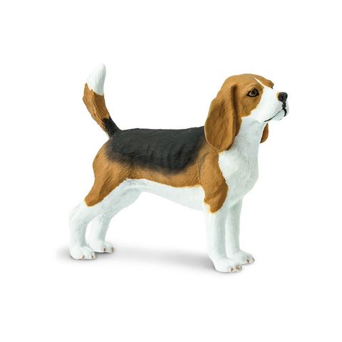 Safari Ltd Beagle Best In Show