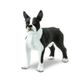 Safari Ltd Boston Terrier Best In Show