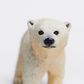 Safari Ltd Polar Bear Cub Wild Safari Sea Life