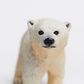 Safari Ltd Polar Bear Cub