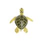 Safari Ltd Green Sea Turtle Baby Wild Safari Sea L