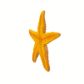 Safari Ltd Starfish
