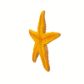 Safari Ltd Starfish Wild Safari Sea Life