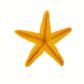 Safari Ltd Starfish Wild Safari Sea Life