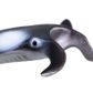 Safari Ltd Manta Ray