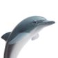 Safari Ltd Dolphin Wild Safari Sea Life