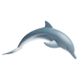 Safari Ltd Dolphin