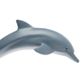 Safari Ltd Dolphin Wild Safari Sea Life