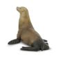 Safari Ltd Sea Lion Wild Safari Sea Life