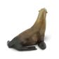 Safari Ltd Sea Lion