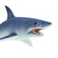 Safari Ltd Mako Shark Wild Safari Sea Life