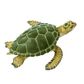 Safari Ltd Green Sea TurtleSea Life