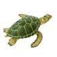 Safari Ltd Green Sea Turtle Wild SafariSea Life