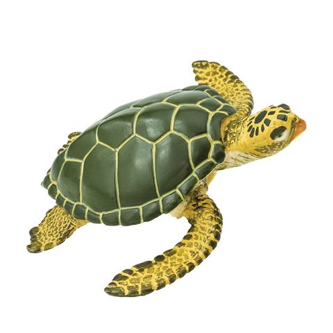 Safari Ltd Green Sea Turtle Wild SafariSea Life