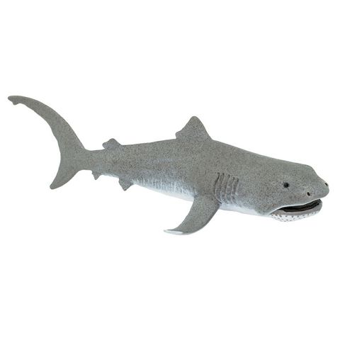 Safari Ltd Megamouth Shark Wild SafariSea Life