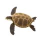 Safari Ltd Green Sea Turtle Wild SafariSea Life
