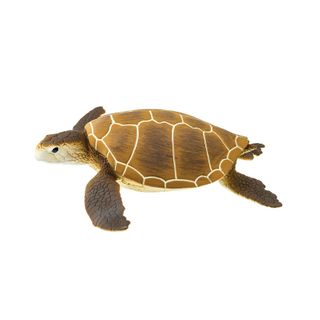 Safari Ltd Green Sea Turtle Wild SafariSea Life