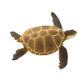 Safari Ltd Green Sea Turtle Wild SafariSea Life
