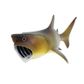 Safari Ltd Basking Shark