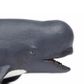 Safari Ltd Pilot Whale