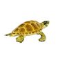 Safari Ltd Loggerhead Turtle Wild Safari Sea Life