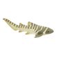 Safari Ltd Zebra Shark