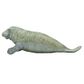 Safari Ltd Manatee Wild Safari Sea Life