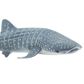 Safari Ltd Whale Shark