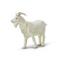 Safari Ltd Billy Goat