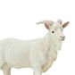 Safari Ltd Billy Goat