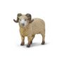 Safari Ltd Ram
