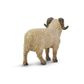 Safari Ltd Ram