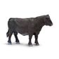 Safari Ltd Angus Cow