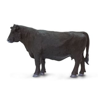 Safari Ltd Angus Cow