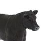 Safari Ltd Angus Cow