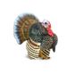 Safari Ltd Turkey