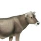 Safari Ltd Brown Swiss Cow Safari Farm