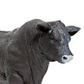 Safari Ltd Angus Bull