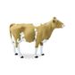Safari Ltd Guernsey Cow Safari Farm