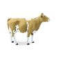 Safari Ltd Guernsey Cow