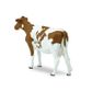 Safari Ltd Ayrshire Cow