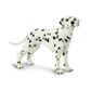 Safari Ltd Dalmatian Best In Show