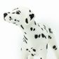 Safari Ltd Dalmatian