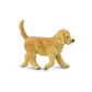 Safari Ltd Golden Retriever Puppy BestIn Show