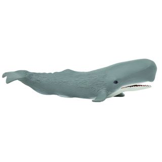 Safari Ltd Sperm Whale Wild